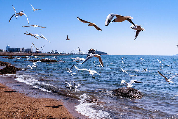 ��Ÿ����