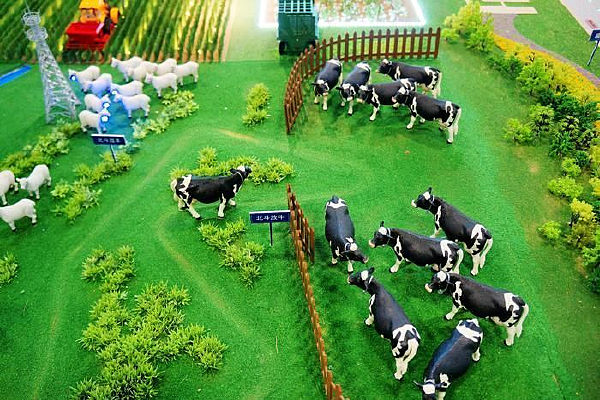 ��ѧ��ţɳ��