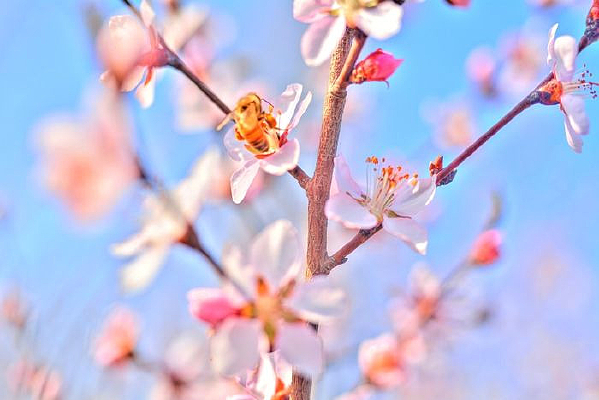 ���ӻ�������