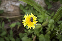 ��ɫ�ѹ�Ӣ�۷�