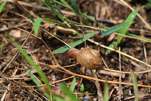 ���е���ţ