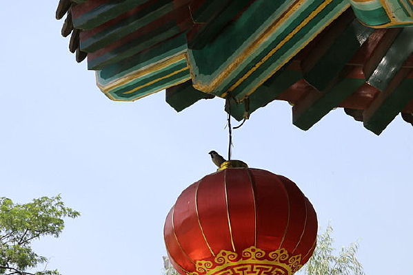 �����µ���