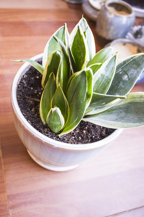 һ����������