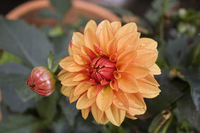 ���е���ɫ���վ�