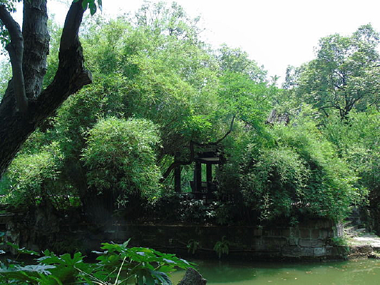 �����µ�ͤ��