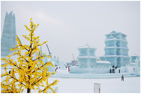 ��ѩ����������