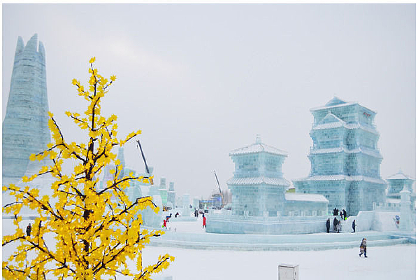 ��ѩ����������