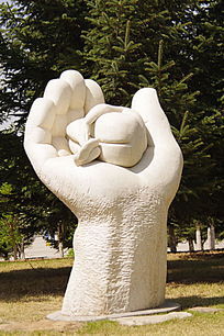 ���Ƶ���