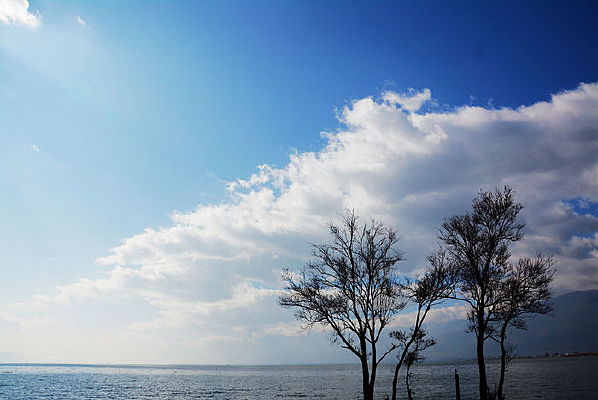 ��������