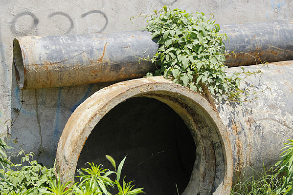 �ܵ�����ɫ