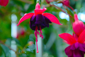 �������ӻ�