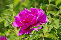 ʢһĵ
