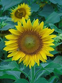 ���տ��ϵ��۷�