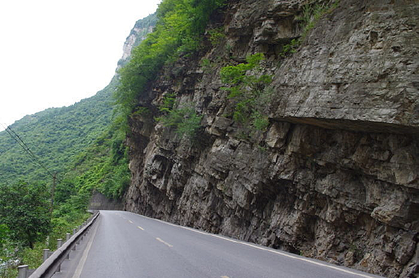 ���¹�·����