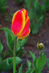 һ��������