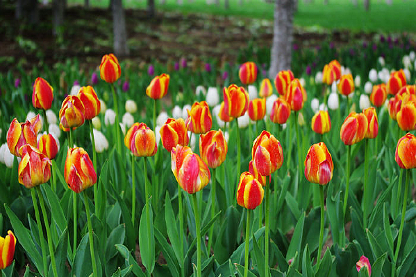 �����㺣��