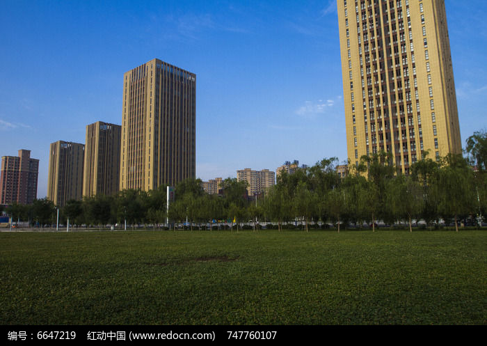 ��¥��̺ͼƬ