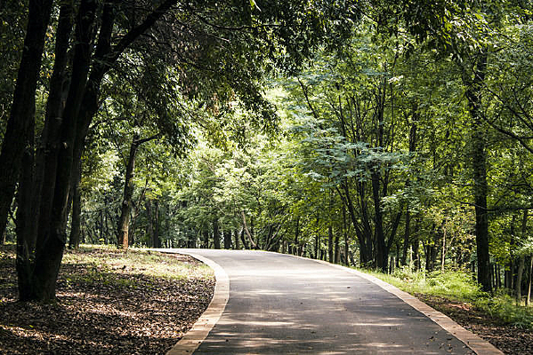 ��Ӱ�߲����ּ�С·