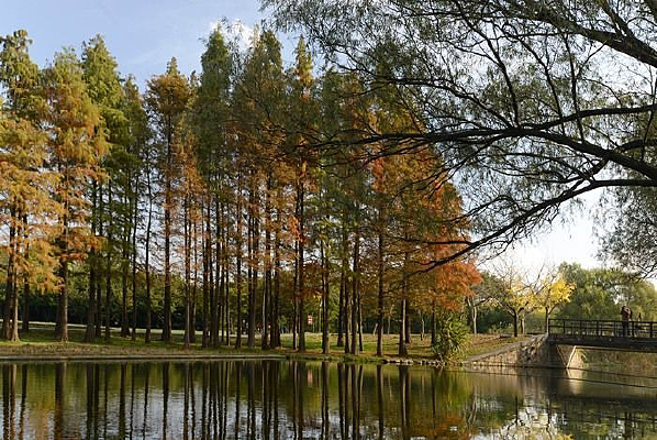 �ӱ���Ӱ��