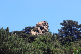 ����ɽ��Ȯ��