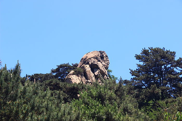 ����ɽ��Ȯ��