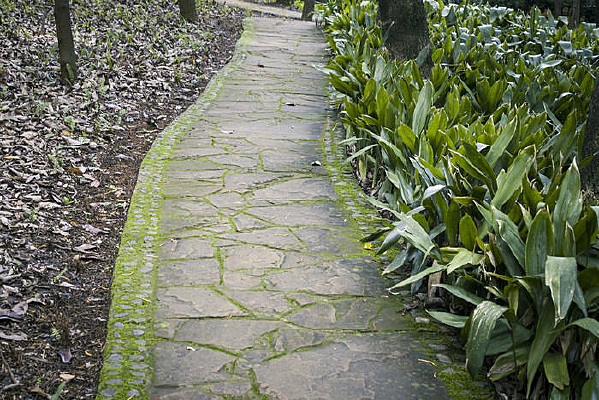 �ּ��ʯ��С·