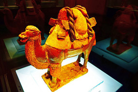 ������˿����-����������