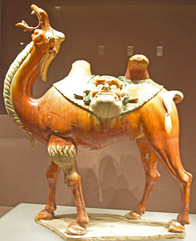 ��������-����������