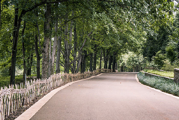 ������ĵ�·