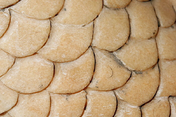 ������������