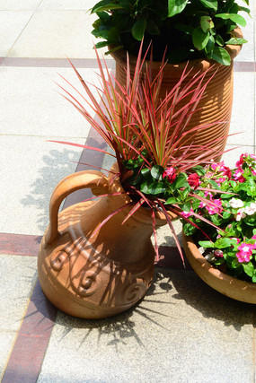 �ʻ�������