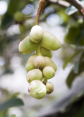 һ�����Ϻ�Ц�Ĺ�ʵ