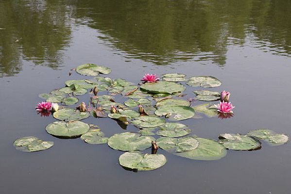 ��˯������