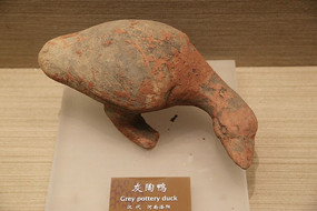 ��������Ѽ