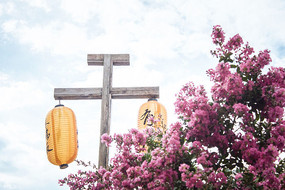 ��ɫ�������ɫ����