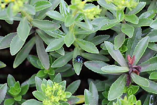 ���������Ľ����