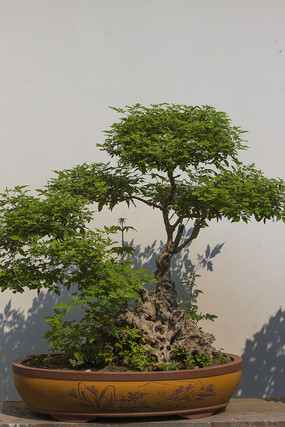 ��ɽ����