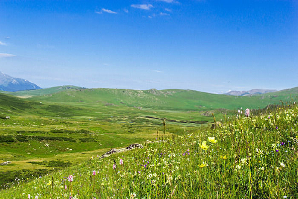 ����˹��ԭɽ��ɽ���ز�ͼ