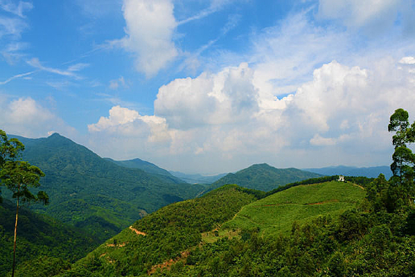 ����ɽ��