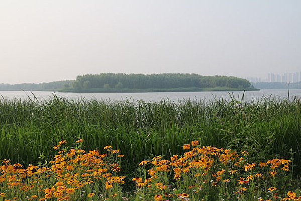 «έ����������