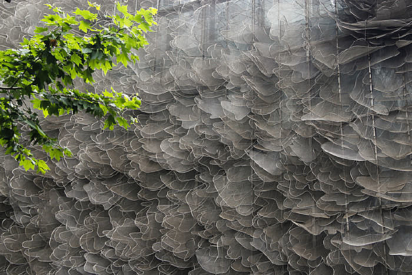 ��Ҷ��������