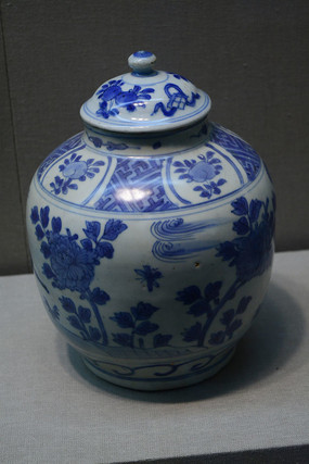 �໨�������չ�