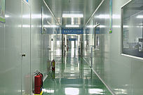 ʵ��������