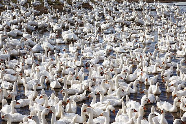 �����Ĵ��