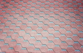 �ݶ�����