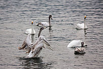 �峿��С��