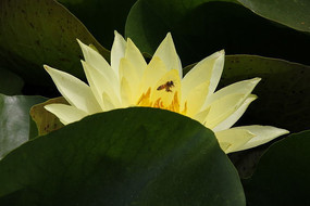 �����λ�����