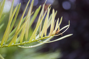 ���̵��޺���