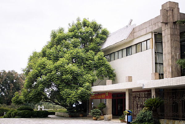 �����ԵĽ���