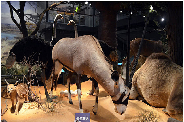 ������걾